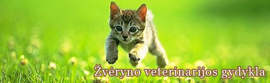 Žvėryno veterinarijos gydykla